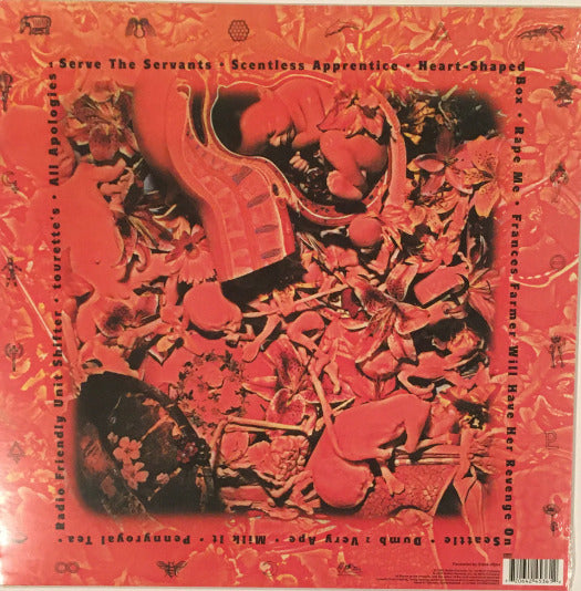 IMG_5902_960x_41df1306-e0ce-